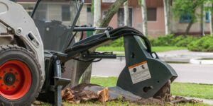 Stump Grinding vs. Removal: Which is Right for Your Sydney Property?