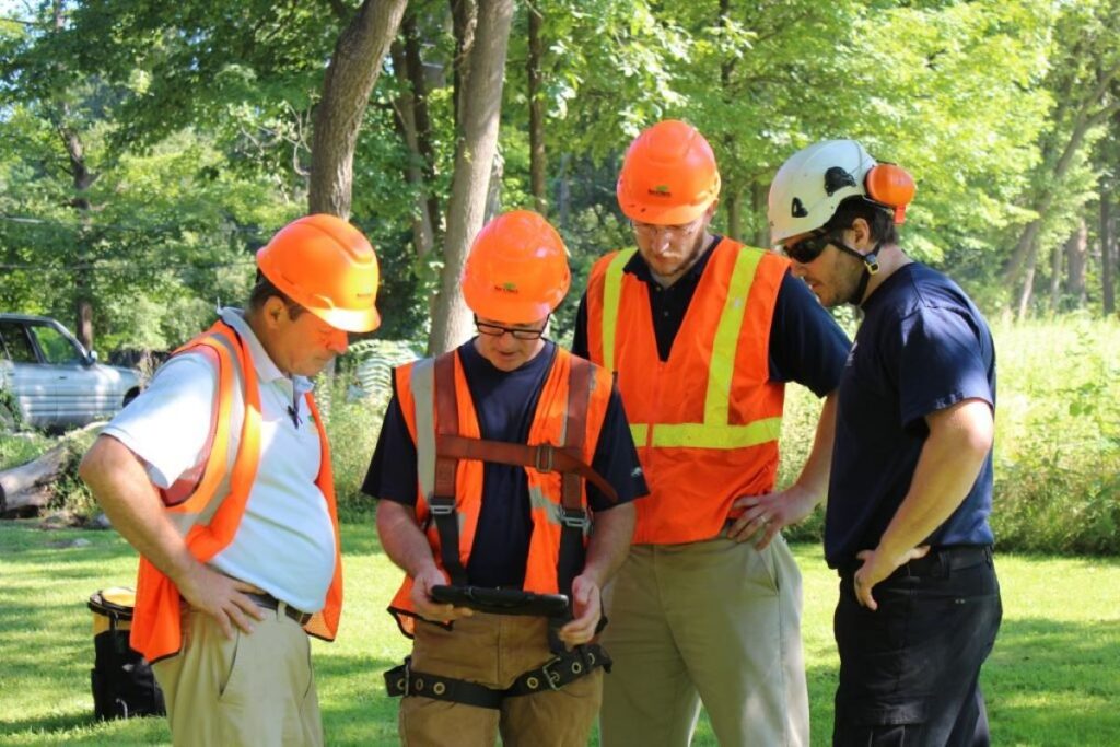 Tree Services Sydney