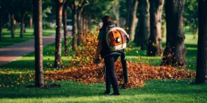 Tree Cutting Tips Every Homeowner Should Consider Before Starting