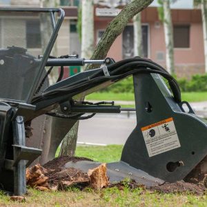 Stump Grinding vs. Removal: Which is Right for Your Sydney Property?