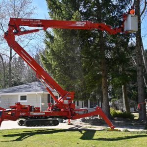 The Ultimate Guide to Safe and Efficient Tree Removal: Expert Tips for Homeowners